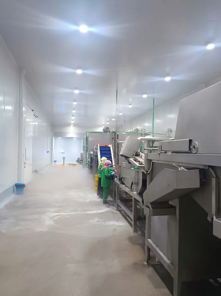 Freezing tunnel line at the packing facility