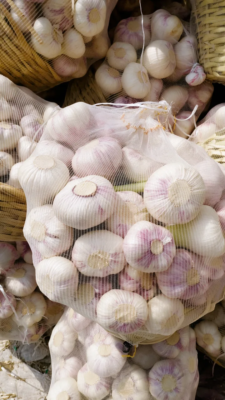 Fresh Egyptian garlic bulbs