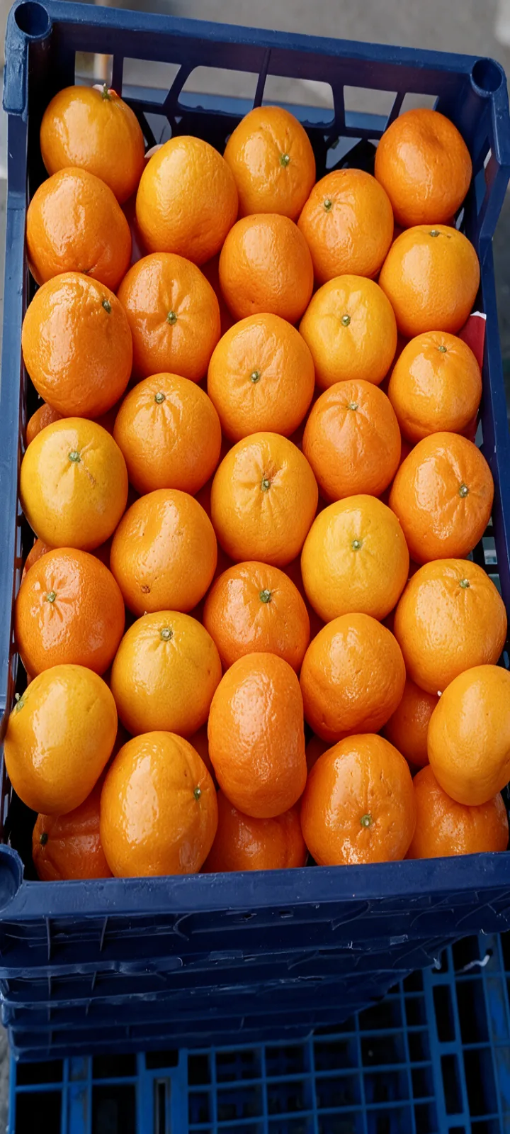 Fresh Egyptian mandarins