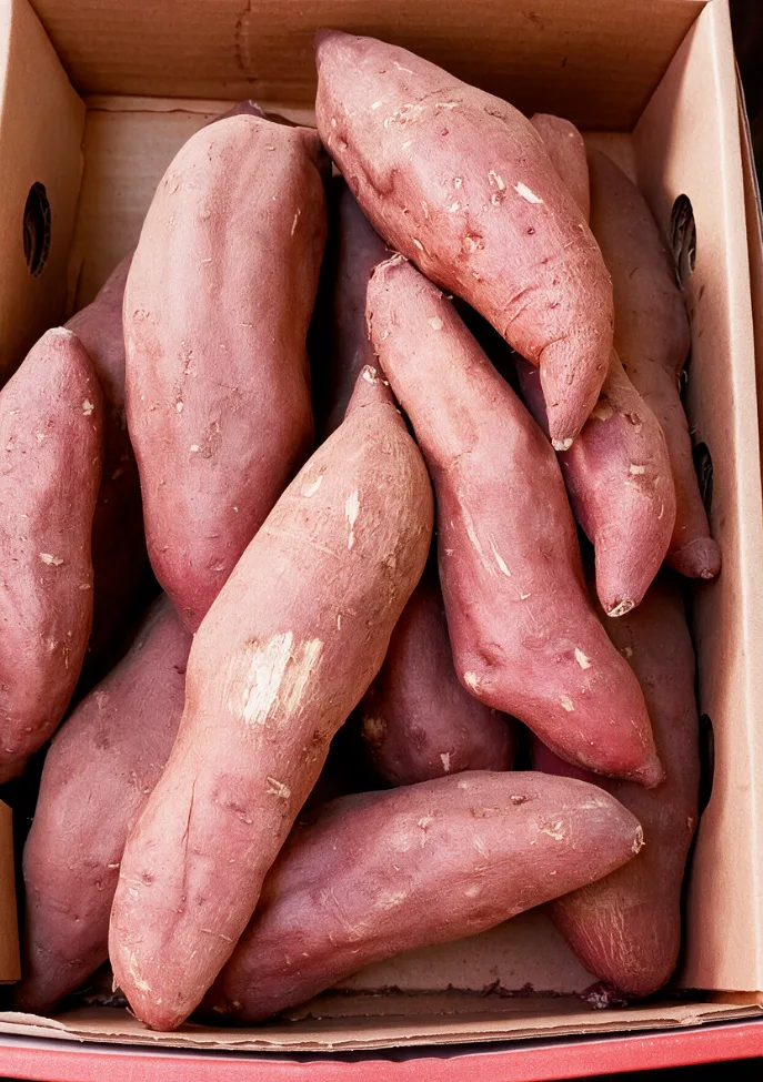 Fresh Egyptian sweet potatoes